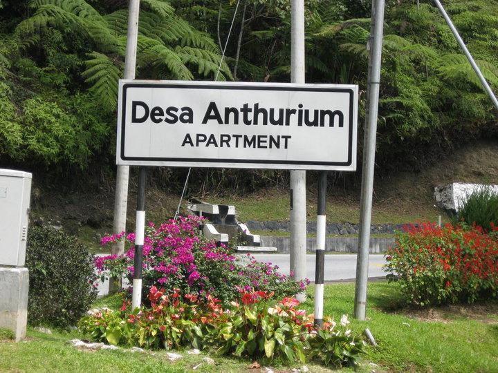 קמרון היילנדס Sa Apartments @ Desa Anthurium מראה חיצוני תמונה